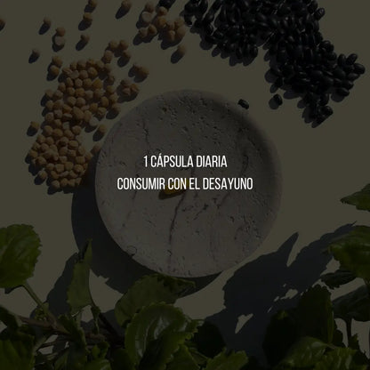 Dosis diaria de vitaminas del complejo B Izzilife easy life izilife isilife issilife