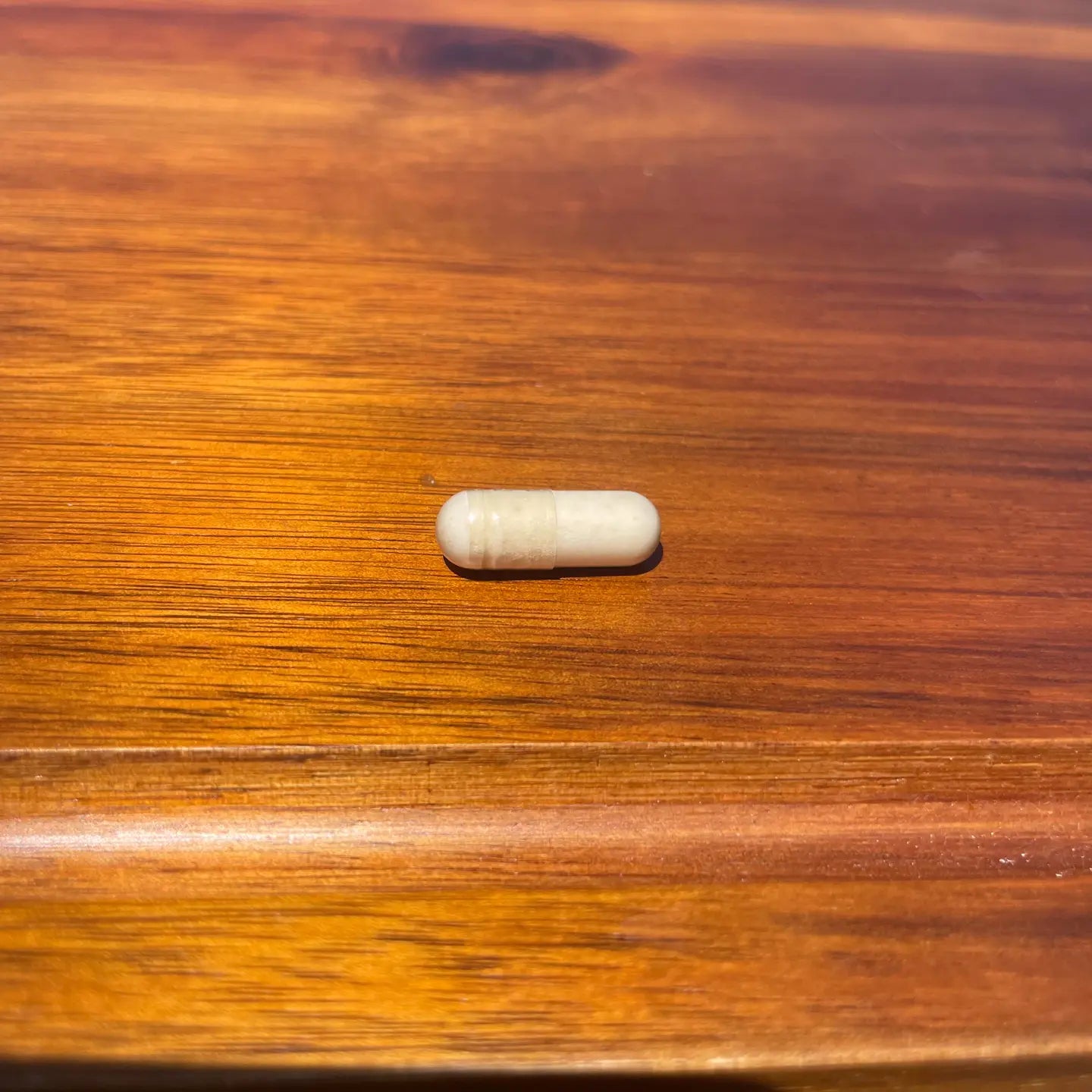Fotografía de una pastilla de Lacte 5 Gastro il Izzilife easy life izilife isilife issilife